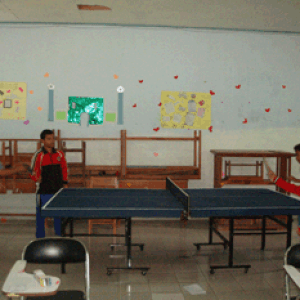 pingpong